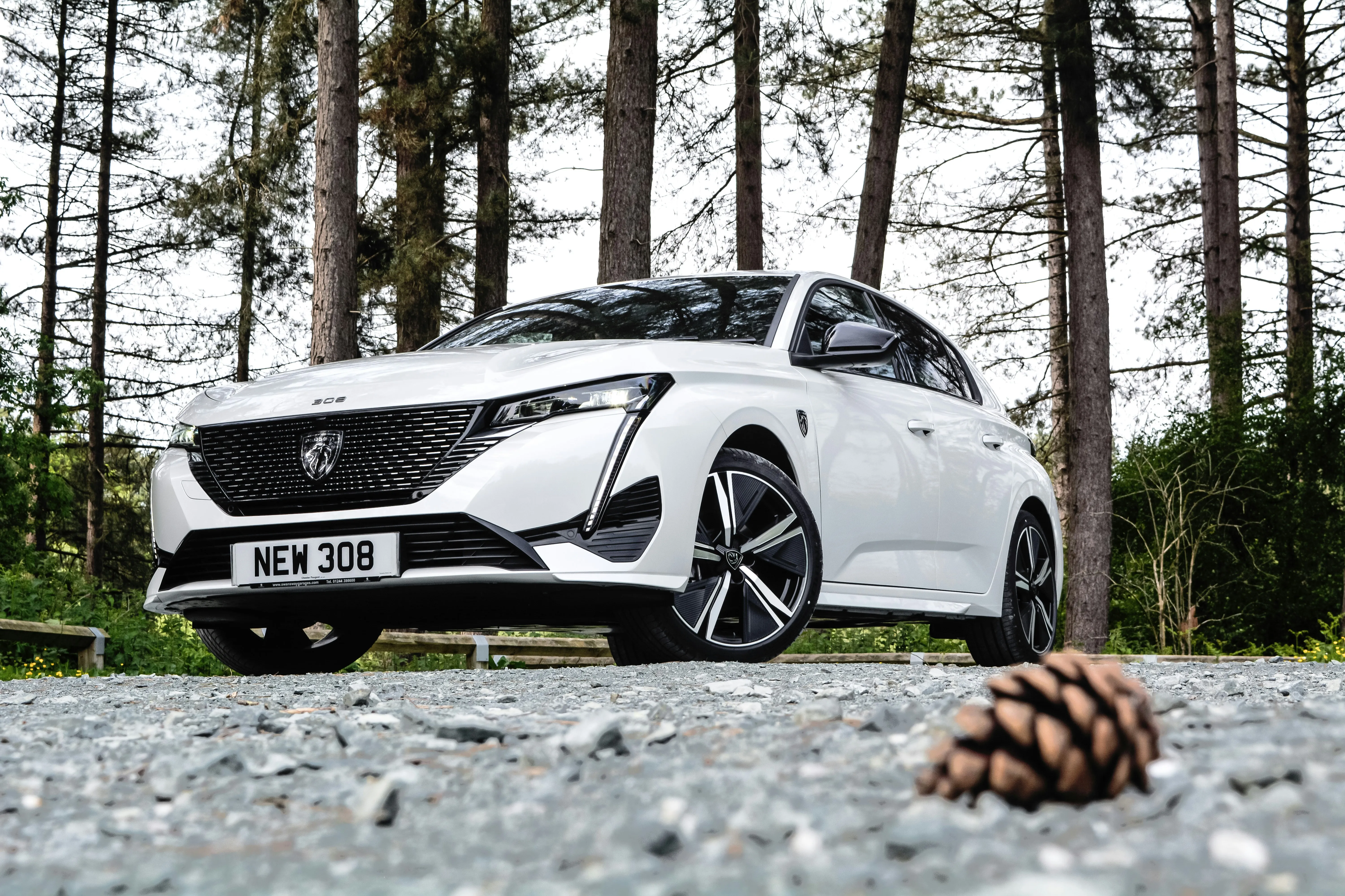 Unlocking More from Peugeot: Tuning for Power, Efficiency & Fun